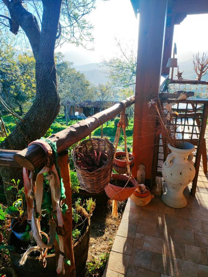 Room In Casa Castiglia A Woodhouse With Beautiful View Close Madonie Park カステルブオーノ エクステリア 写真
